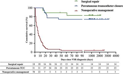 Clinical Characteristics and Contemporary Prognosis of Ventricular Septal Rupture Complicating Acute Myocardial Infarction: A Single-Center Experience